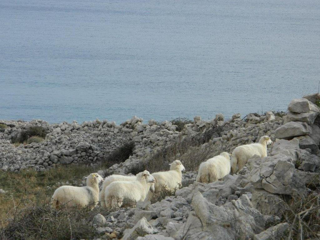 Libera1 Apartamento Stara Baška Exterior foto